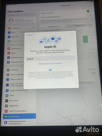 iPad pro 12.9 LTE 128 gb Работает всё