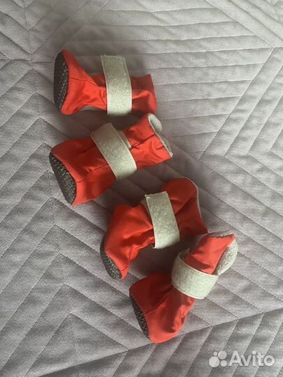 Ботинки для маленьких собак