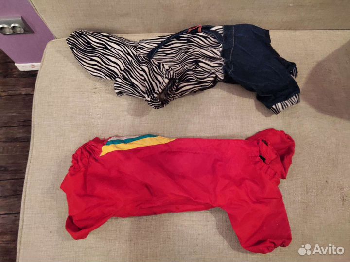 Одежда для собак