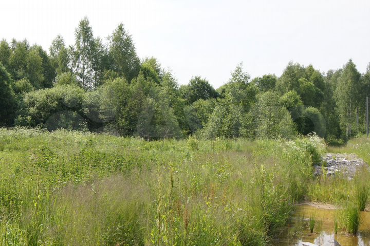 Участок 15 сот. (ИЖС)