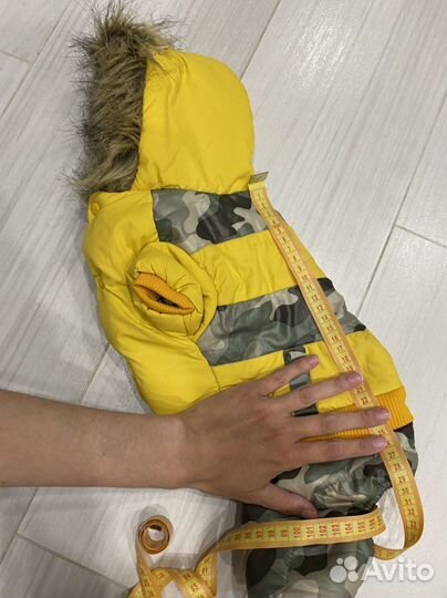 Одежда для собак