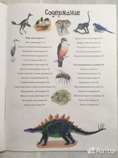 Животные. 500 удивительных фактов