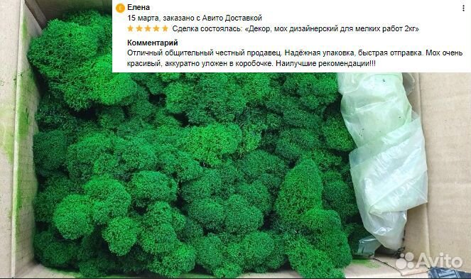 Стабилизированный мох для интерьерных работ