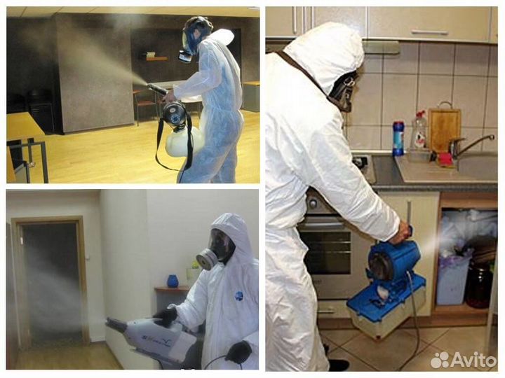 Уничтожение клопов тараканов клещей муравьев блох