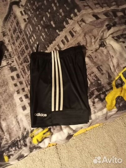 Шорты adidas