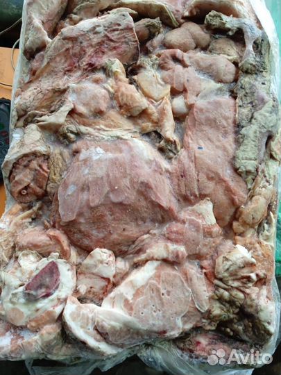 Мясо говядина для собак