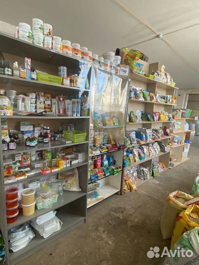 Семена козлятника