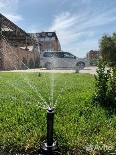 Автополив, Рулонный газон, благоустройство