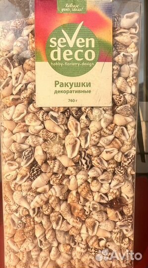 Морские ракушки