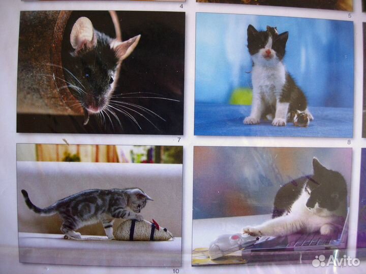 Календарь Мыши на 2008 г / Обмен