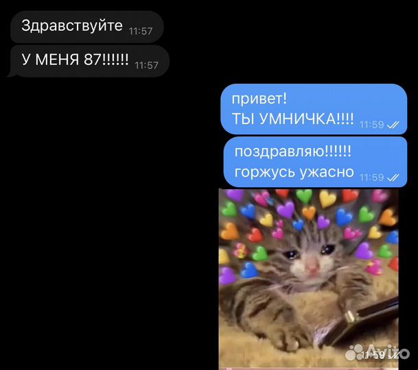 Репетитор по русскому языку и литературе