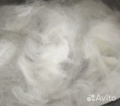 Шерсть собаки хаски