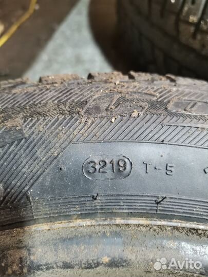 Cordiant Polar 2 195/65 R15