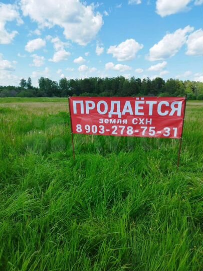 Участок 4 га (СНТ, ДНП)