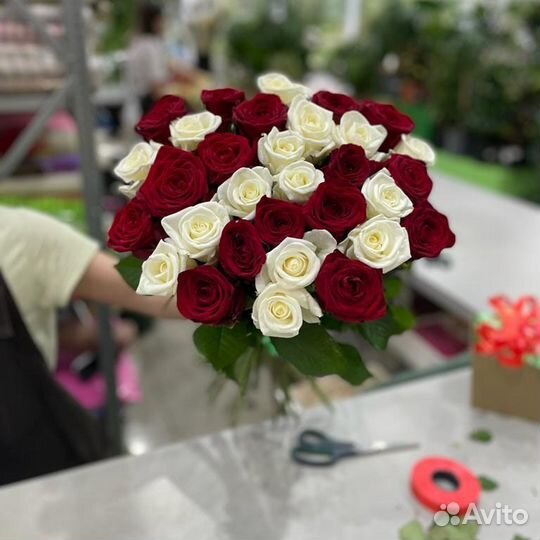 Красная и белая розы - в букете 31 штука и более