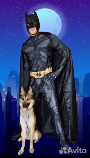 Аниматор Бетмен