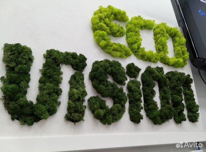 Композиции из мха на заказ