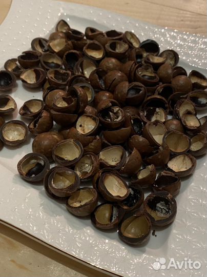 Скорлупа ореха макадамия