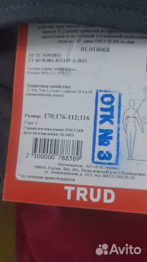 Одежда
