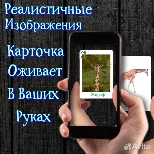 Интерактивные развивающие карточки Животные 1