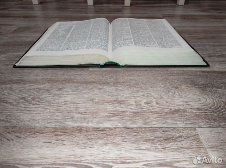 Советский энциклопедический словарь