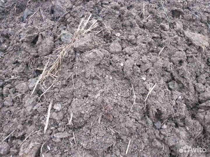 Навоз перегной коровий