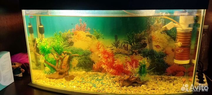 Аквариум