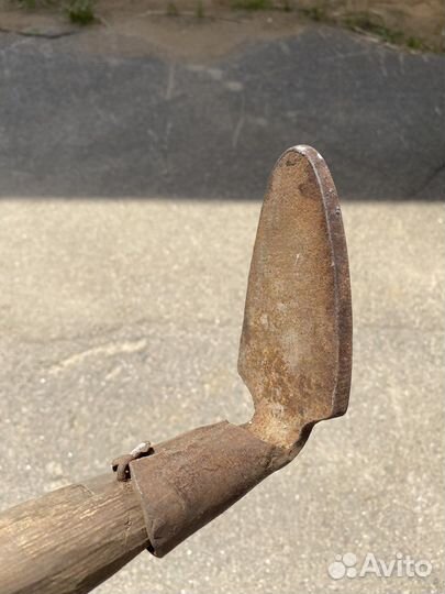 Лапа сапожная