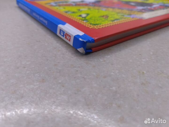 Большая погоня книга