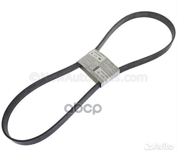 Ремень ручейковый nissan qashqai (J11) (2014)