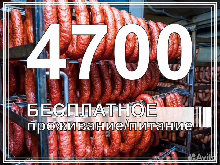Упаковщик колбасы Работа Вахтой в Москве еда жильё