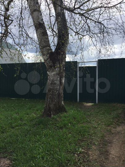 Участок 10,7 сот. (ИЖС)