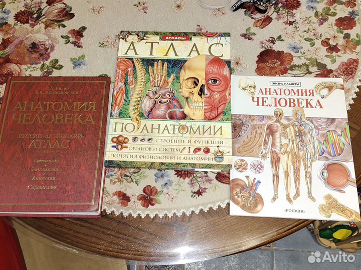 Атлас анатомия человека энциклопедия