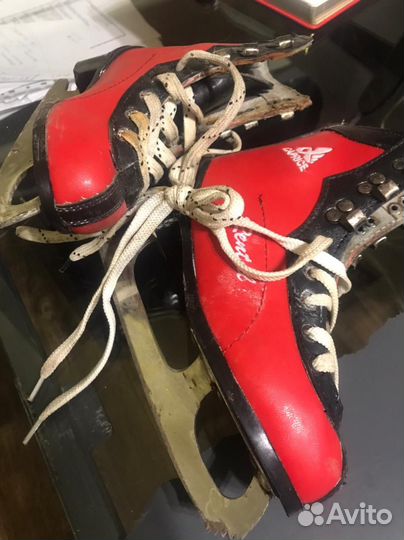 Коньки graf montana gold, Graf Super 101 Sr