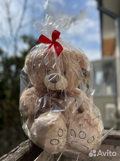 Плющевый медведь