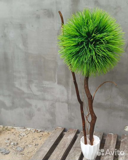 Искусственные деревья. Самшит