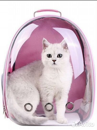 Переноска - рюкзак для кошек и собак
