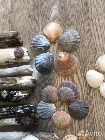 Морской набор для творества, поделок