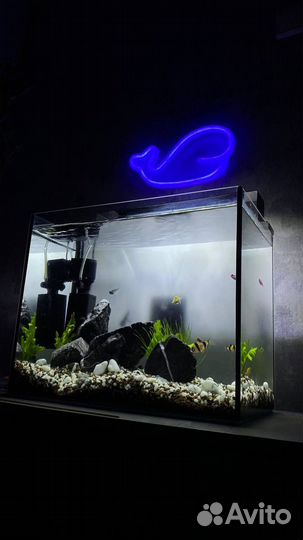 Аквариум с комплектом 20л