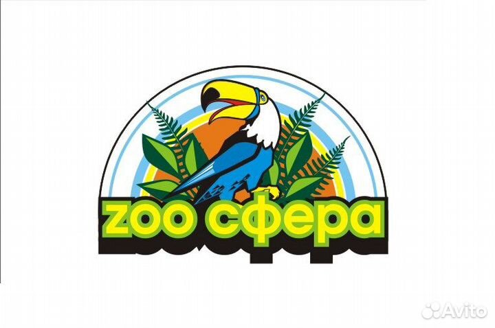 Продавец в магазин зоосфера