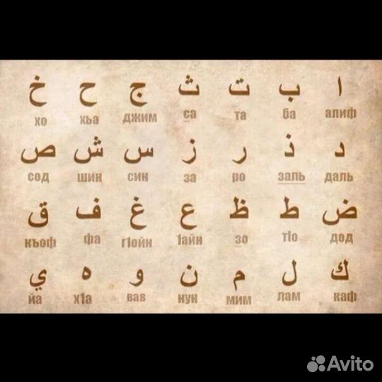 Учитель(репетитор) арабского языка