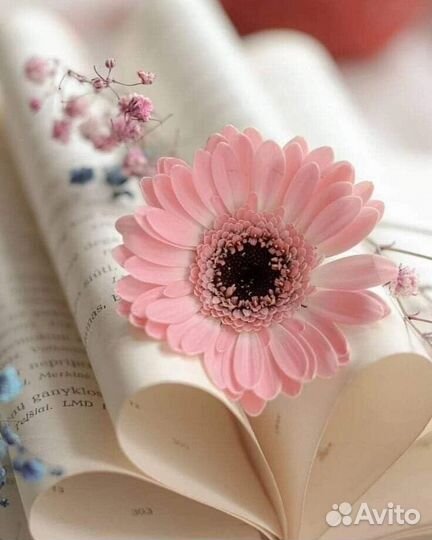 Помощь школьникам