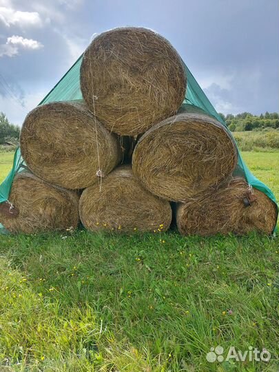 Сено в рулонах