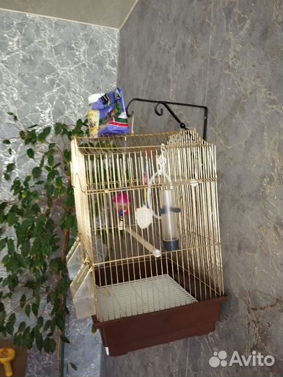 Клетка для попугая