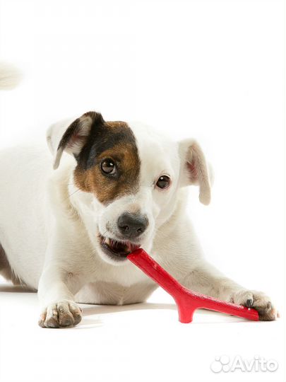 Игрушка bama PET tutto MIO для собак, палочка рези