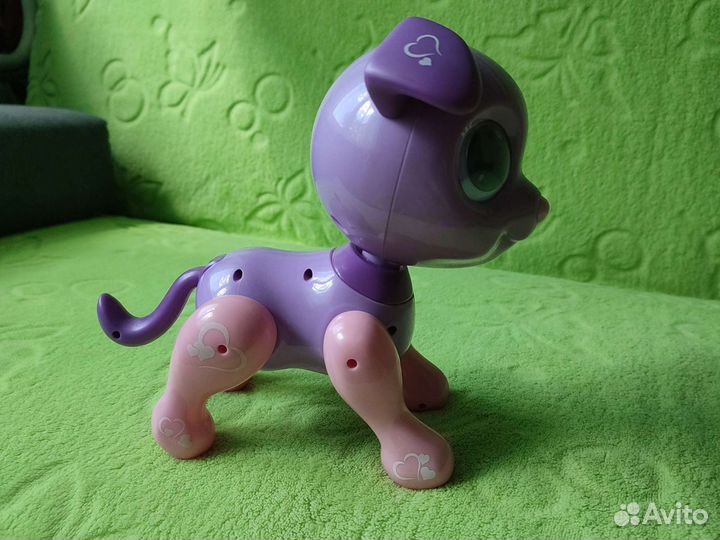 Littlest Pet Shop