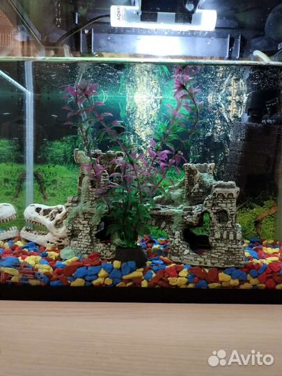 Аквариум