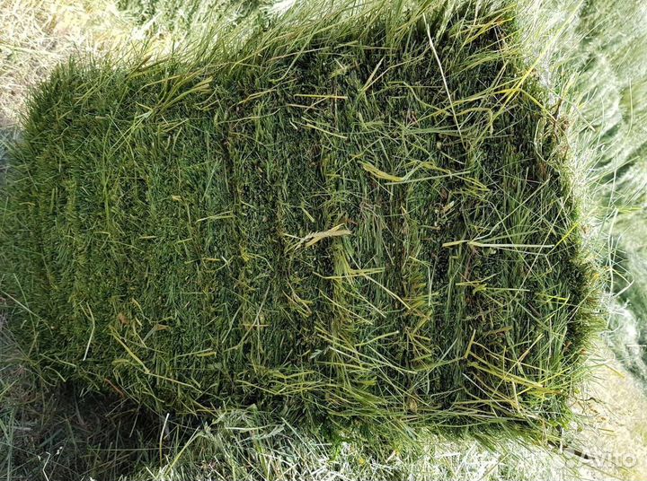 Сено и Стружка в тюках