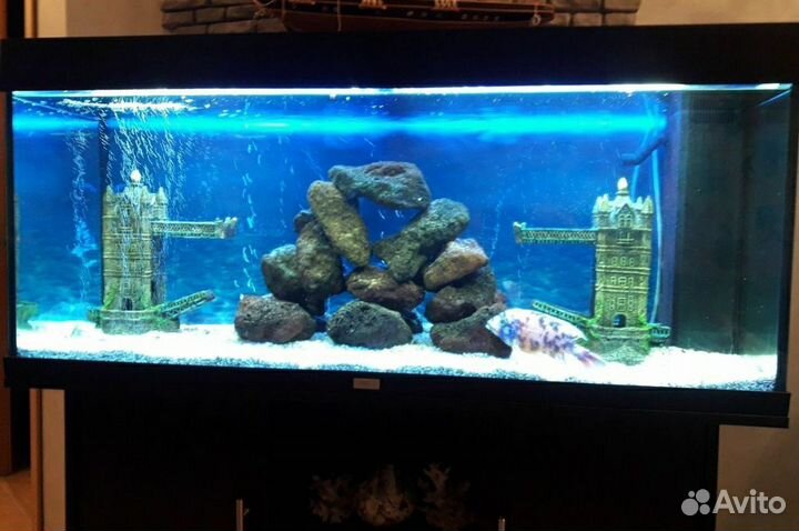 Аквариум с тумбой Juwel Rio на 240 литров