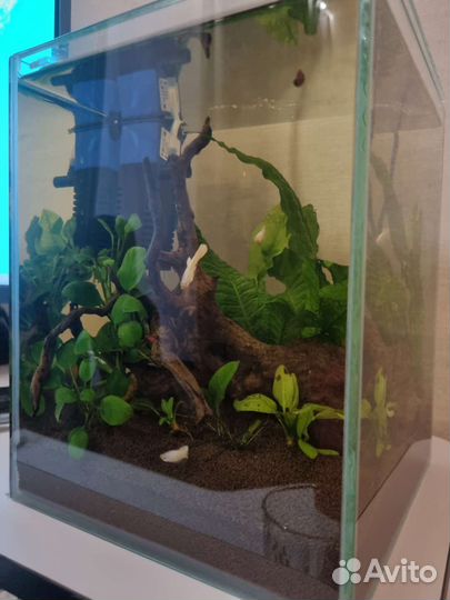 Аквариум